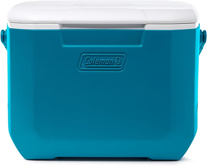 Coleman Chiller Series 16qt Insulated Portable Cooler, Hard Cooler with Heavy Duty Handle & Ice Retention, Great for Beach, Picnic, Camping, Tailgating, Groceries, Boating, & More