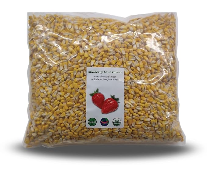 Whole Yellow Corn 5 Pounds, USDA Certified Organic, Non-GMO, Product of USA, Mulberry Lane Farms